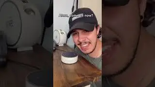 У Алексы ссора с Siri?! #шорты