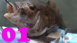 Hooked ep 1 - Asian Carp Invasion - Full HD