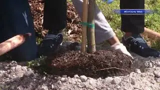 #OurCounty News - Ceremonial Tree Planting Event