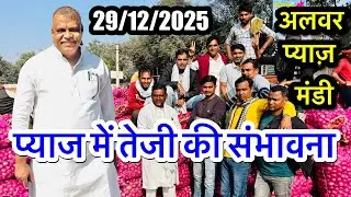 प्याज़ मैं तेजी की संभावना, प्याज में न्यूनतम समर्थन मूल्य लागू हो, Alwar Pyaj Mandi #onion #viral 