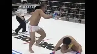 Stomp & Kick Highlights.