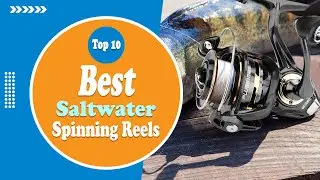 The 10 Best Saltwater Spinning Reels in 2022 - Comparisons & Reviews!