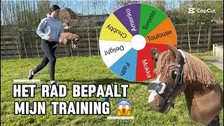 HET RAD BEPAALT MIJN TRAINING! 😱🐎