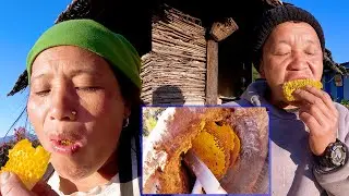 we hunt honey & enjoying local bee honey || village honey in the village In Nepal