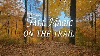Hiking the Stunning Yellow Branch Falls Trail 💦 | Fall Colors Everywhere! #TheMarloweFactor #Trails 