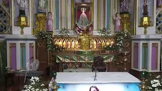 ༺♰༻ 🅛🅘🅥🅔 𝑽𝒂𝒅𝒂𝒗𝒂𝒊 𝑷𝒂𝒓𝒂𝒍𝒐𝒈𝒂 𝑴𝒂𝒕𝒉𝒂 - Daily Mass in Tamil -  2025 - திருப்பலி