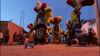 Danzadita  8 de septiembre festejando a la divina infantita
