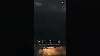🤍 #foryou #pathofallah #surah
