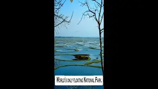 World's only floating National Park.