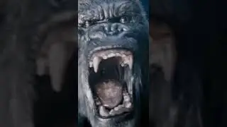 nitro Zeus (tlk) vs Kong (2005) #animation #song #debate #transformers