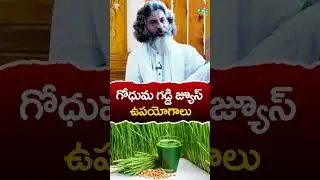గోధుమ గడ్డి జ్యూస్ ఉపయోగాలు | Wheat grass juice health benefits | PMC Health