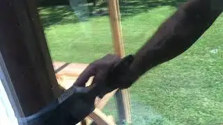 Repurposed 100 year old wavy farm windows