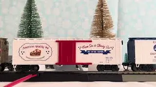 My Birthday Video 2025 the Snow Princess box car review