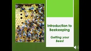 You Decided to Become a Beekeeper! What do you need to do now??? Introduction to Beekeeping