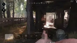 Blood splatter, no hit reg. Again. Loves it.