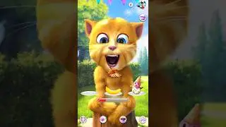 #talkingginger2