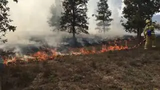 Drip Torch Use&ndash; Example of a Drip Torch being used, September 2016 YouTube drip torch usage (USFWS)