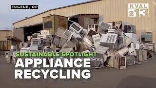Sustainable Spotlight: Appliance Recycling