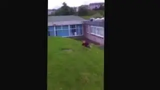 BAD ASS MOTHER FUCKER