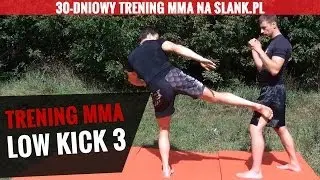 (3) Trening kopnięć MMA - low kick