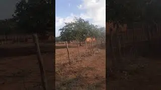 #minhacasaminhavida