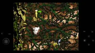 DKC2 Rattle Royale romhack - Bramble Scramble