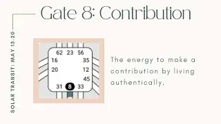 Human Design Solar Transit - Gate 8: Contribution