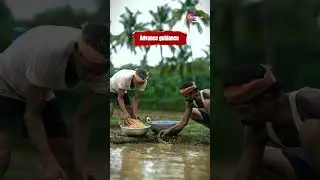 EcolAgro: Clear Vision, Green Mission 🌿 India's Eco‑Leader