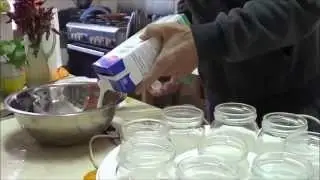 Yogurt fatto in casa