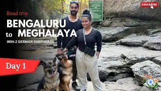 Road trip from BENGALURU TO MEGHALAYA with our two German Shepherd || Via Guwahati