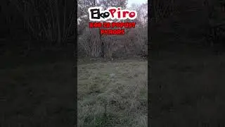 Zom Bum Matabrujas 5g TEST 💥 | Ekopiro  #ekopiro #petarde #pyro #pirotehnika #test