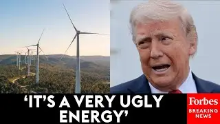 'Wind Is A Disaster': Trump Rails Against Windmills: 'They Also Kill All Your Birds'
