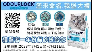 加拿大Intersand，白晶maxCare，居家檢測健康用貓砂。