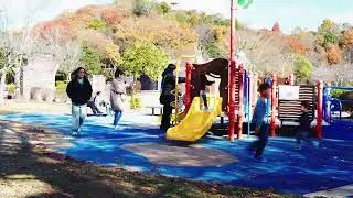 Nikon Z5ii video family test