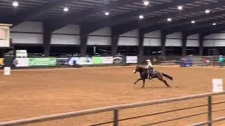 Sparrow - winning CTYRA Barrel Racing  Sept 2023