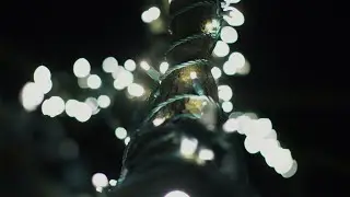 Season of Lights Illuminates Our Way Forward