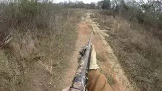 Rabbit Hunting 2021