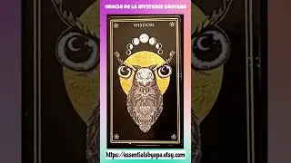 🌙#lecturedecartes #Oracle du Royaume des Animaux de minuit #signification 🃏#hibou #animals 💫✨🍀