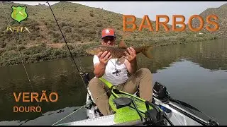 BARBOS - Rio Douro