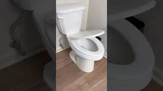 Is Slow Close Worth It? MUST WATCH Before Buying Bemis Toilet Seat! #Bathroom #Amazonreview #Amazon