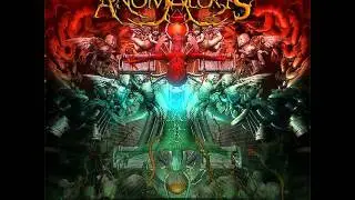 Anomalous - OHMnivalent