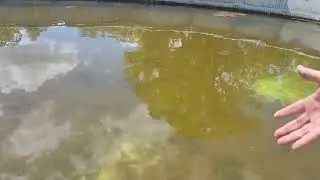 Water Solution
