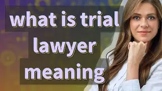 Trial lawyer | meaning of Trial lawyer