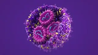 What&rsquo;s inside a lipid nanoparticle?