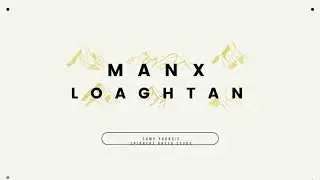 Manx Loaghtan: Fiber Facts & Breed Study