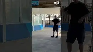 Black bear invades Gulfarium Marine Park in Fort Walton Beach