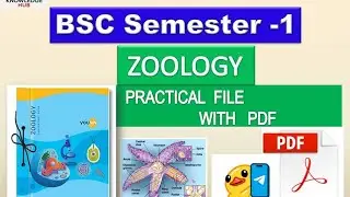 How to make BSc 1st year best zoology practical file #biology #practical