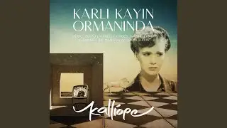 Karlı Kayın Ormanında