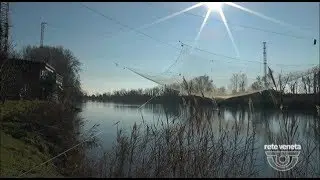 AGRICULTURA VENETA - PESCA CON LA BILANCIA SUL PIAVE(09/12/2017)