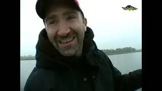 Barsche am Peenestrom: Sch&ouml;ne Fische
